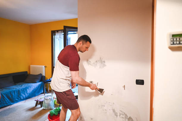 Best Residential Mold Remediation in Baudette, MN